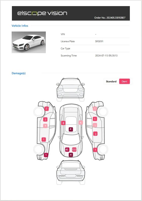 Official Elscope Vision sample condition report with marked body areas on a vehicle diagram